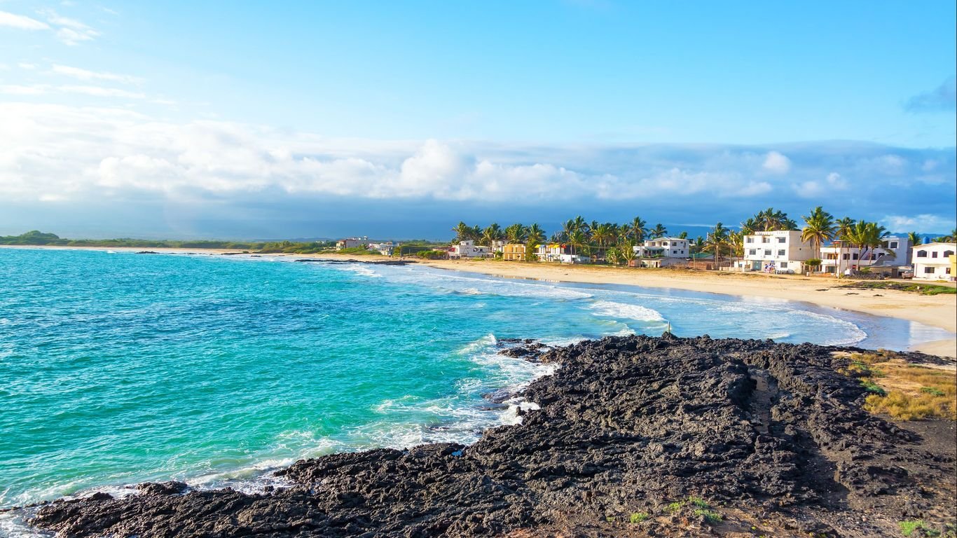Tour en costa: Villamil Playas: Delfines y Tesoros del Manglar