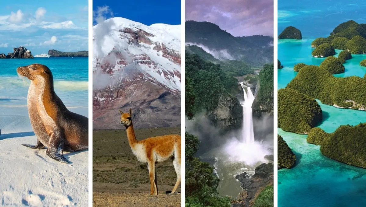 Experiencias y fotos de viajes con Samay Ecuador